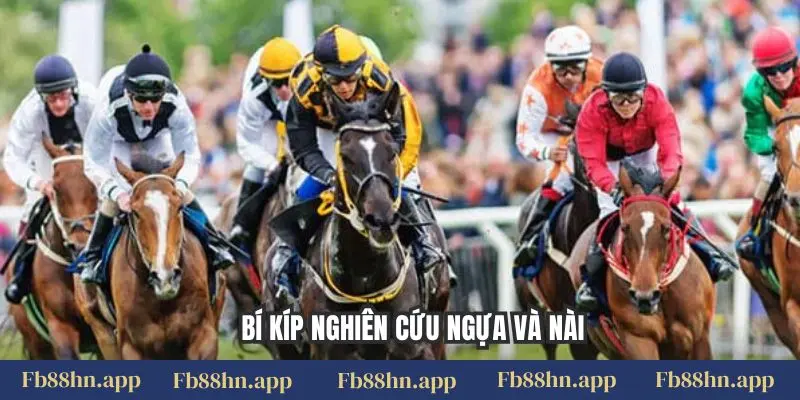 Cá Cược Đua Ngựa Fb88 - Đường Đua Sôi Động, Thắng Lớn 6 Bí kíp nghiên cứu ngựa và nài