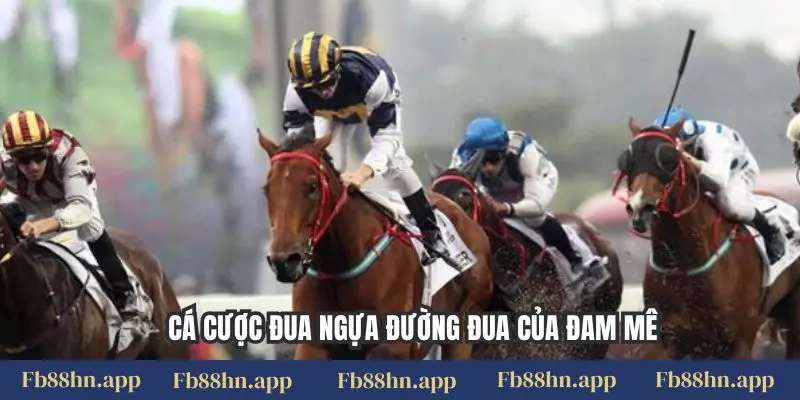 Cá Cược Đua Ngựa Fb88 - Đường Đua Sôi Động, Thắng Lớn 4 Cá cược đua ngựa đường đua của đam mê